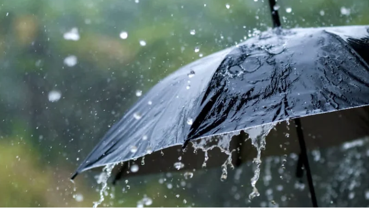 കേരളത്തിൽ ഇടിമിന്നലോടുകൂടിയ മഴയ്ക്ക് സാധ്യത