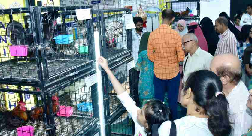 മൃഗ സംരക്ഷണ മേഖലയെ തൊട്ടറിഞ്ഞ് എന്റെ കേരളം പ്രദര്‍ശന വിപണനമേള