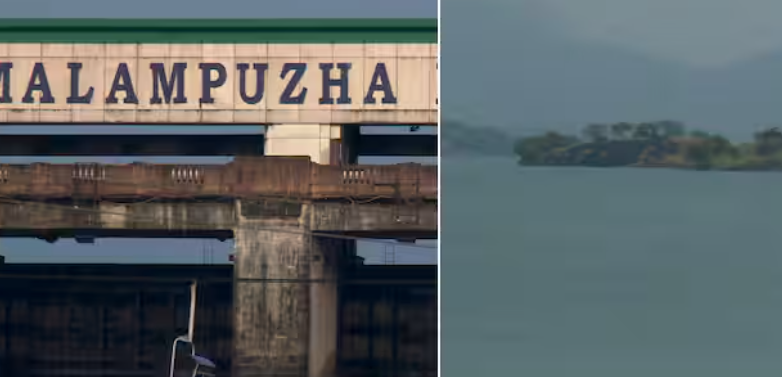 മലമ്പുഴ ഡാമിൽ സഹോദരങ്ങൾ മുങ്ങി മരിച്ചു