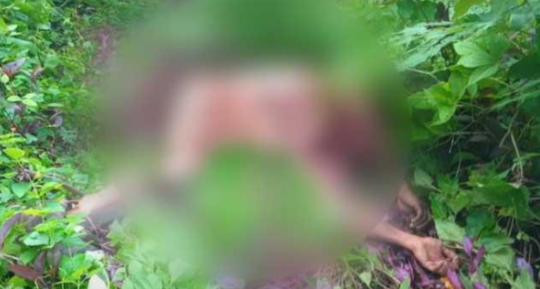 പുലിയുടെ ആക്രമണത്തിൽ കൊല്ലപ്പെട്ട യു​വാ​വി​ന്‍റെ മൃ​ത​ദേ​ഹം ക​ണ്ടെ​ത്തി