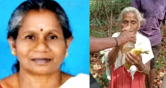 വ​ന​ത്തി​നു​ള്ളി​ൽ കാ​ണാ​താ​യ വ​യോ​ധി​ക​യെ ക​ണ്ടെ​ത്തി