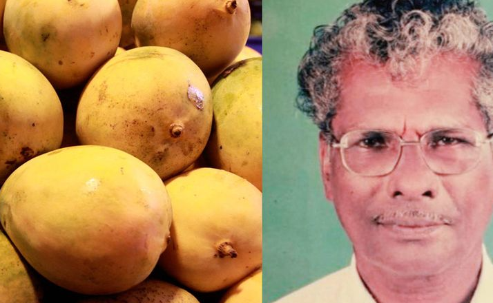 മാമ്പഴത്തിന്റെ തൊലി തൊണ്ടയിൽ കുടുങ്ങി വയോധികന് ദാരുണാന്ത്യം