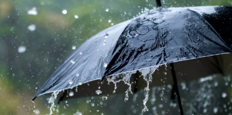 സം​സ്ഥാ​ന​ത്ത് ശ​ക്ത​മാ​യ മഴ മുന്നറിയിപ്പ് ; 12 ജി​ല്ല​ക​ളി​ൽ ഇ​ന്ന് യെ​ല്ലോ അ​ല​ർ​ട്ട്