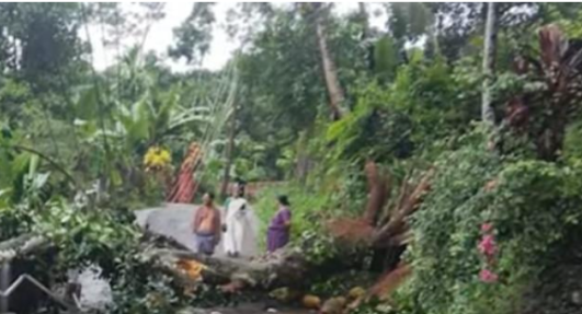 കനത്ത മഴയിൽ തി​രു​വ​ന​ന്ത​പു​ര​ത്ത് വ്യാപക നാശം ; നിരവധി വീടുകൾ തകർന്നു