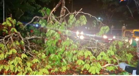 ക​ന​ത്ത​മ​ഴ​യി​ൽ ത​ല​സ്ഥാ​ന ന​ഗ​ര​ത്തി​ൽ വ്യാ​പ​ക നാ​ശം