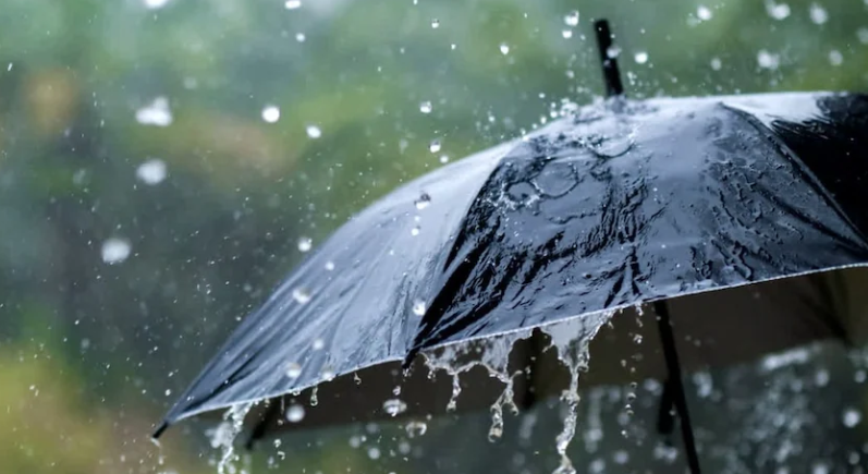 കനത്ത മഴ ; സ്ഥിതിഗതികള്‍ വിലയിരുത്താന്‍ ഉച്ചയ്ക്ക് ജില്ലാ കളക്ടര്‍മാരുടെ യോഗം