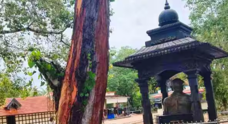 ആറാട്ടുപുഴ മംഗലം ക്ഷേത്രത്തിൽ ഇടിമിന്നലടിച്ചു ; കനത്ത നാശം