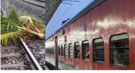 ട്രാ​ക്കി​ല്‍ തെ​ങ്ങ് വീ​ണ​തി​നെ തു​ട​ർ​ന്ന് ട്രെ​യി​ന്‍ സ​ര്‍​വീ​സു​ക​ള്‍ ത​ട​സ​പ്പെ​ട്ടു