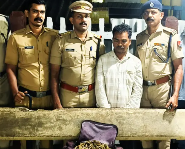കഞ്ചാവുമായി അതിഥി തൊഴിലാളി അറസ്റ്റിൽ