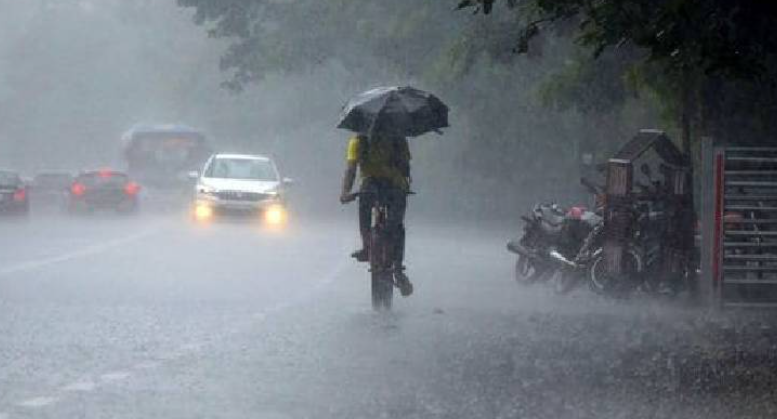 കനത്ത മഴ ; കോഴിക്കോട്ടും വയനാടും ഇന്ന് റെഡ് അലര്‍ട്ട്