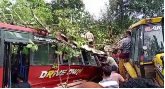 ഓ​ടി​ക്കൊ​ണ്ടി​രു​ന്ന ബ​സി​ന് മു​ക​ളി​ൽ മ​രം വീ​ണ് അപകടം