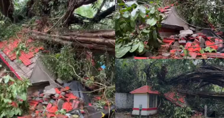 വടകരയിൽ ചുഴലിക്കാറ്റിൽ മരങ്ങള്‍ വീണ് ക്ഷേത്രം തകര്‍ന്നു