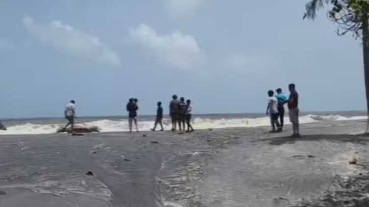 ആലപ്പുഴയിൽ കണ്ടെയ്നർ അടിഞ്ഞതിന്റെ സമീപം ഡോൾഫിന്റെ ജഡം