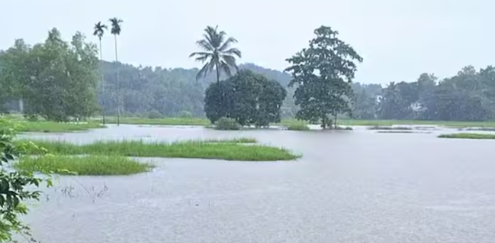 മീൻ പിടിക്കാൻ പോയ ആളെ വെള്ളക്കെട്ടിൽ മരിച്ച നിലയിൽ കണ്ടെത്തി
