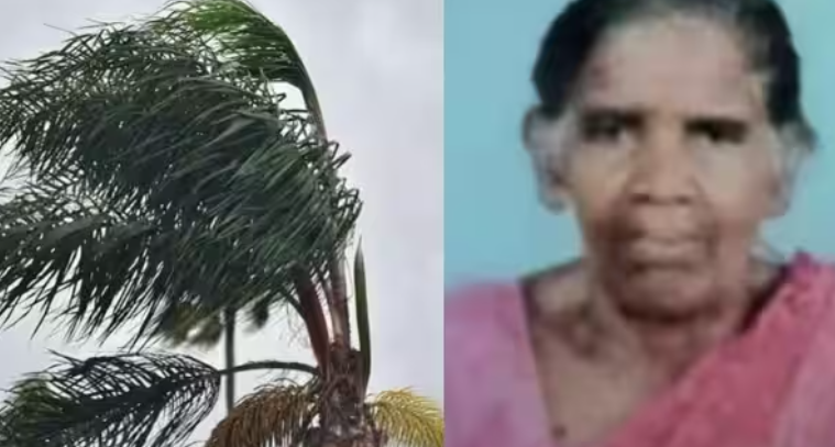 മരം വീണ് തൊഴിലുറപ്പ് തൊഴിലാളിയ്ക്ക് ദാരുണാന്ത്യം