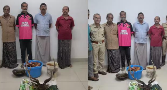 ജ​ന​വാ​സ മേ​ഖ​ല​യി​ലി​റ​ങ്ങി​യ പു​ള്ളി​മാ​നെ വേ​ട്ട​യാ​ടി ; നാ​ലു​ പേർ  അ​റ​സ്റ്റി​ൽ