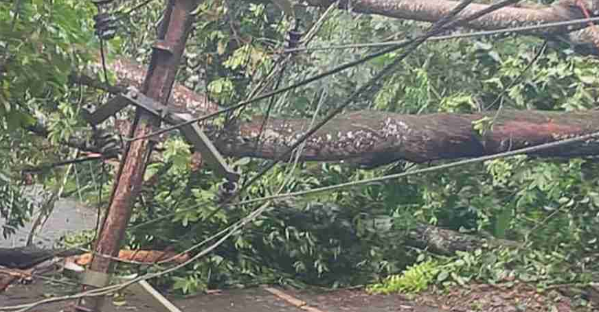 കാറ്റും മഴയും ; കെ.എസ്.ഇ.ബിക്ക് 7.9 കോടി രൂപയുടെ നഷ്ടം