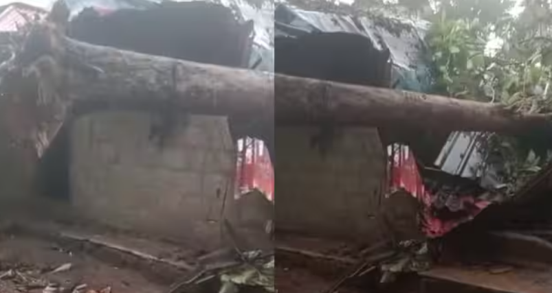 ലേബർ ക്യാമ്പിന് മുകളിലേക്ക് മരം ഒടിഞ്ഞ് വീണു ; ഒരു മരണം