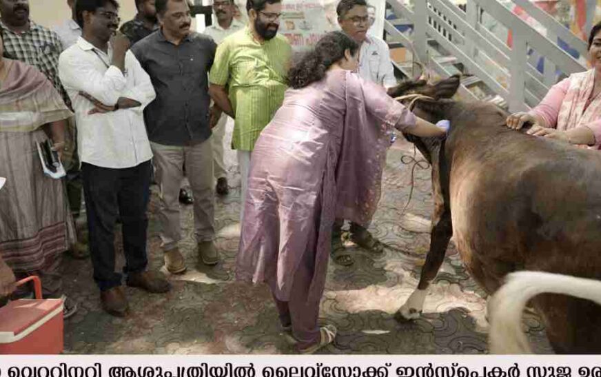 കൊല്ലത്ത് ജില്ലാതല കുളമ്പുരോഗ പ്രതിരോധയജ്ഞം;  ഉദ്ഘാടനം നടത്തി