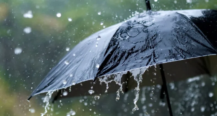 സം​സ്ഥാ​ന​ത്ത് ഇ​ന്നും ശ​ക്ത​മാ​യ മ​ഴ​യ്ക്ക് സാ​ധ്യ​ത