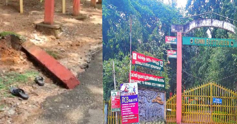 കോന്നി ആനക്കൂട്ടിലെ അപകടം ; 4 ഉദ്യോ​ഗസ്ഥരുടെ സസ്പെൻഷൻ പിൻവലിച്ചു