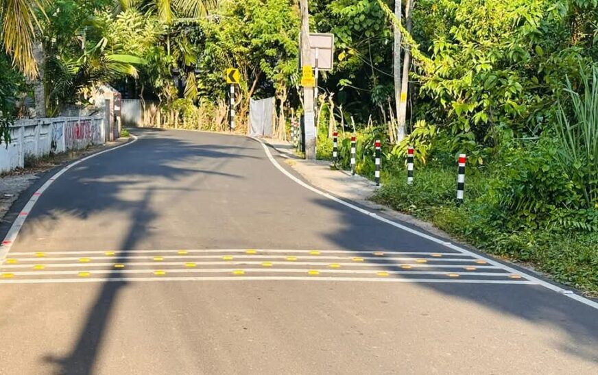 ആധുനിക നിലവാരത്തിൽ ടോൾ – ചെമ്മനാകരി റോഡ്
