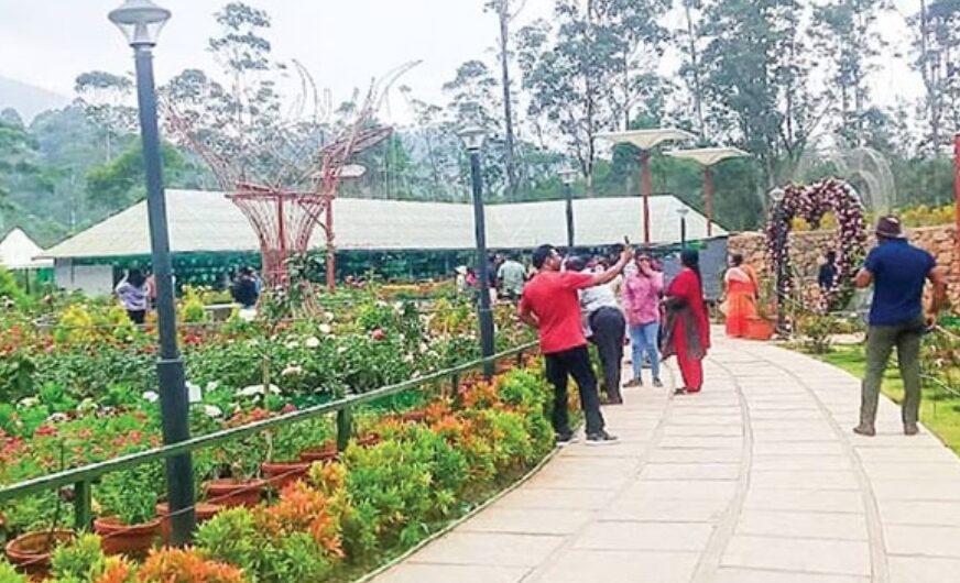 സഞ്ചാരികളെ കാത്ത് മൂന്നാർ, ഡിടിപിസിയുടെ പുഷ്പമേളയ്ക്ക് ഇന്ന് തുടക്കമാകും