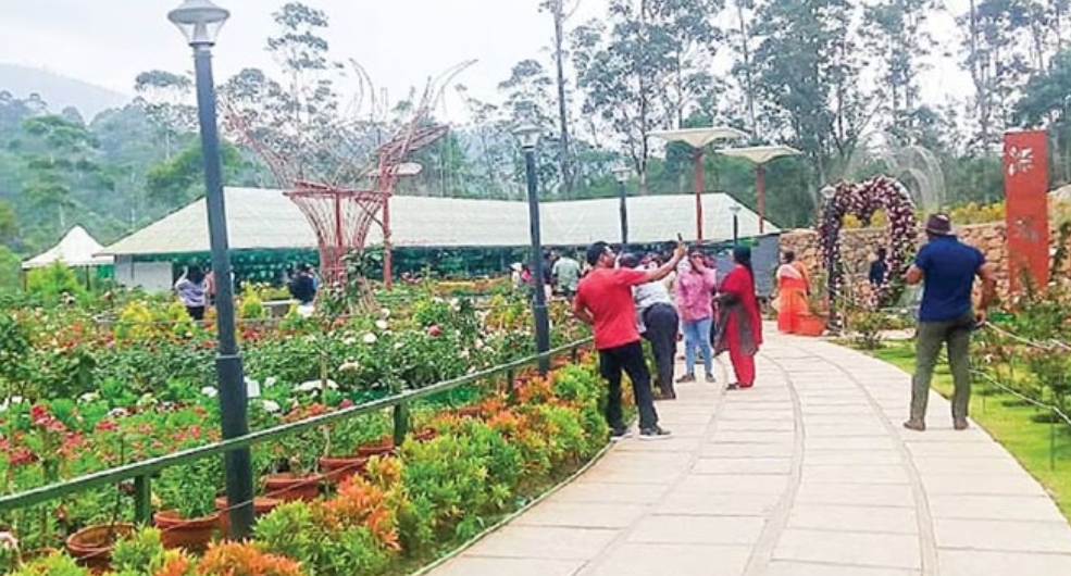 സഞ്ചാരികളെ കാത്ത് മൂന്നാർ, ഡിടിപിസിയുടെ പുഷ്പമേളയ്ക്ക് ഇന്ന് തുടക്കമാകും