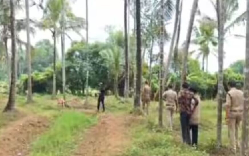 62 കാരിയെ ആക്രമിച്ച് മാല കവർന്ന് മോഷ്ടാവ്