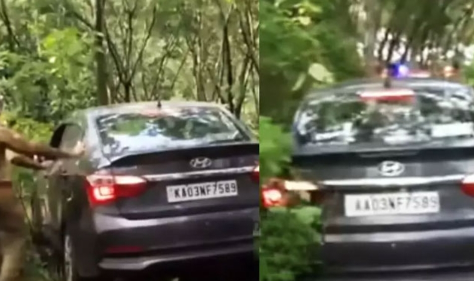 ഗൂ​ഗിൾ മാപ്പ് നോക്കി യാത്ര ചെയ്ത കാർ മലഞ്ചെരുവിൽ ആകപ്പെട്ടു; രക്ഷകരായെത്തി അ​ഗ്നിശമന സേന