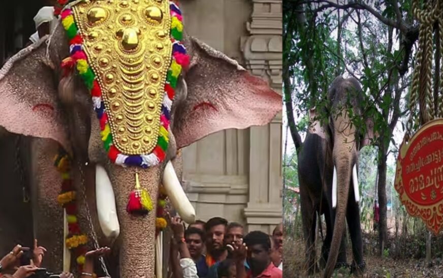കേരളത്തിലെ ‘ഏകഛത്രാധിപതി’ തെച്ചിക്കോട്ടുകാവ് രാമചന്ദ്രന്റെ കഥ