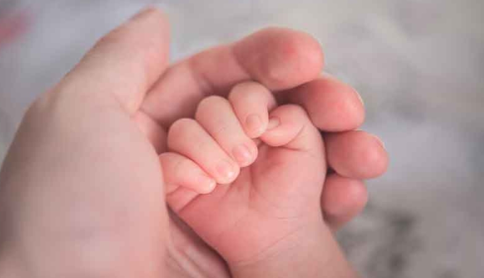 വനിതാ ജീവനക്കാർക്ക് പുതിയ പദ്ധതി പ്രഖ്യാപിച്ച് ഷാർജ