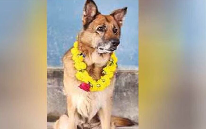 കേരള പോലീസിന്റെ അഭിമാനം, മാളു ഔദ്യോഗികജീവിതം പൂർത്തിയാക്കി; ഇനി വിശ്രമ ജീവിതത്തിലേക്ക്