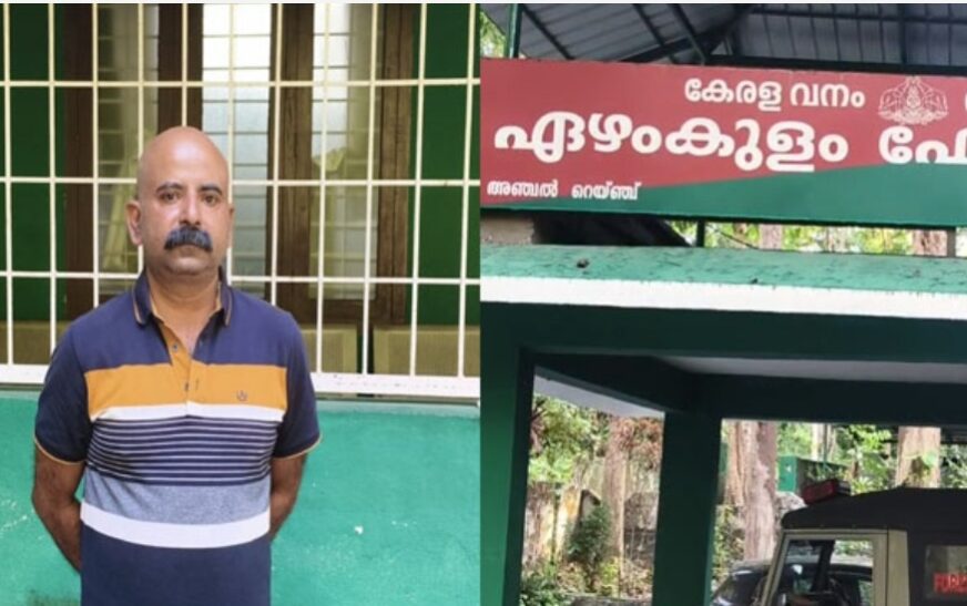 150 കിലോ തൂക്കം വരുന്ന കാട്ടുപന്നിയെ വേട്ടയാടി കടത്താൻ ശ്രമം; അഭിഭാഷകൻ വനം വകുപ്പിന്റെ പിടിയിൽ
