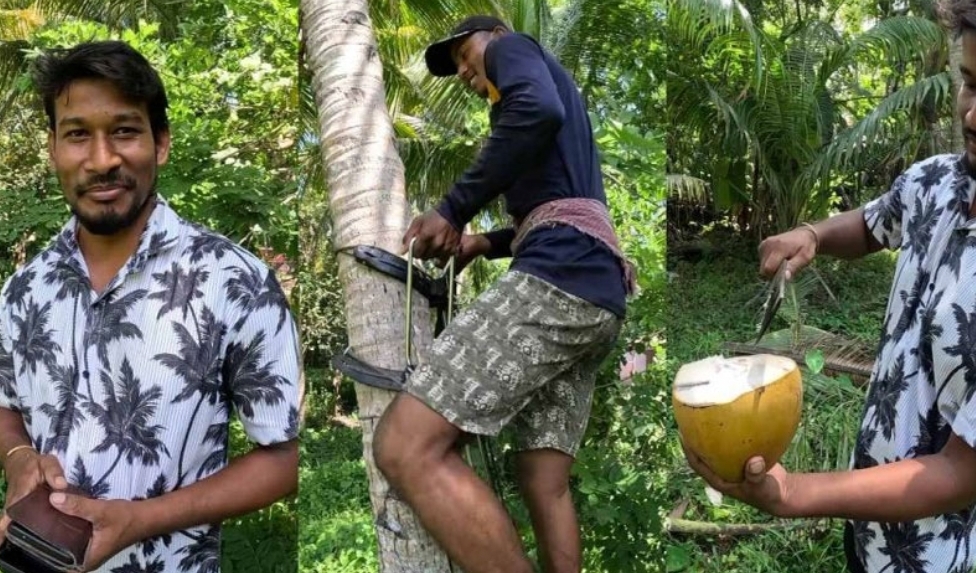 തെങ്ങിന് മരുന്നടിക്കാനായി കേരളത്തിൽ വന്നു; ഇന്ന് ഈ ബം​ഗാളിയുടെ മാസവരുമാനം മൂന്നു ലക്ഷം രൂപ