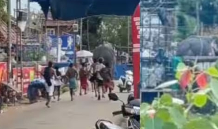 കൂടൽമാണിക്യം ഉത്സവത്തിനിടെ ഇടഞ്ഞ അമ്പാടി മഹാദേവനെ സാഹസികമായി തളച്ച് പാപ്പാൻമാർ