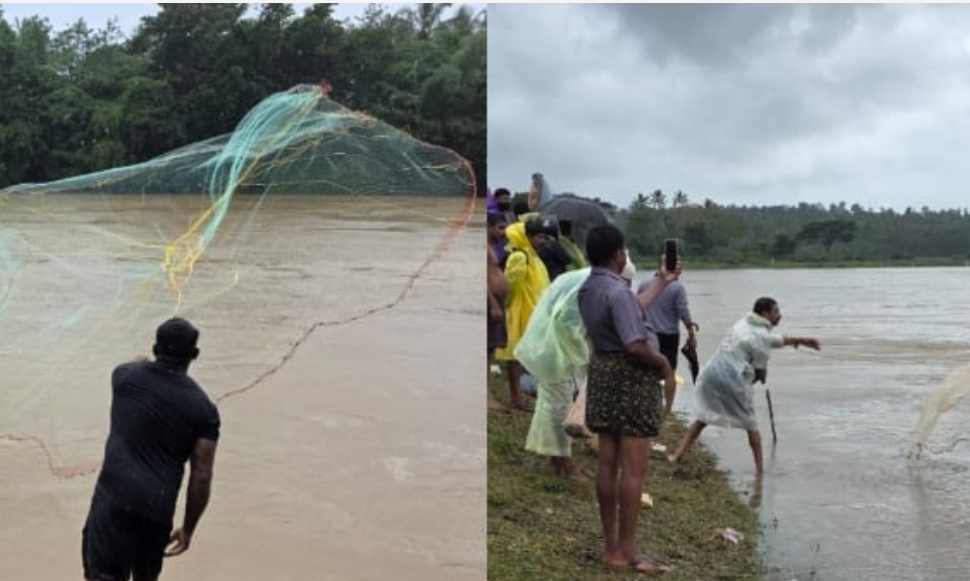 കാലവര്‍ഷപ്പെയ്ത്തിൽ വയനാട്ടുകാര്‍ക്ക് പറയാനുള്ളത് നഷ്ടങ്ങളുടെ കണക്ക് മാത്രമല്ല; ബീച്ചനഹള്ളിയില്‍ നിന്ന് പുഴകളിലേക്കെത്തുന്നത് മത്സ്യ ചാകര