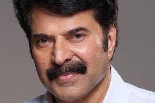 ‘നമ്മുടെ യഥാർത്ഥ നായകന്മാർക്ക് സല്യൂട്ട്’;ഇന്ത്യൻ ആർമിയെ അഭിനന്ദിച്ച് മമ്മൂട്ടി