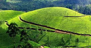 സഞ്ചാരികളാൽ നിറഞ്ഞ്​ ഇടുക്കി; ആ​ദ്യ മൂ​ന്നു മാ​സ​ത്തി​ല്‍ എ​ത്തി​യ​ത്​ 9,84,645 ആ​ഭ്യ​ന്ത​ര സ​ഞ്ചാ​രി​ക​ൾ