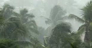മ​ഴ​ക്കെ​ടു​തി ; ശ​ക്ത​മാ​യ കാ​റ്റി​ലും മ​ഴ​യി​ലും വ്യാ​പ​ക നാ​ശ​ന​ഷ്ട​ങ്ങ​ൾ