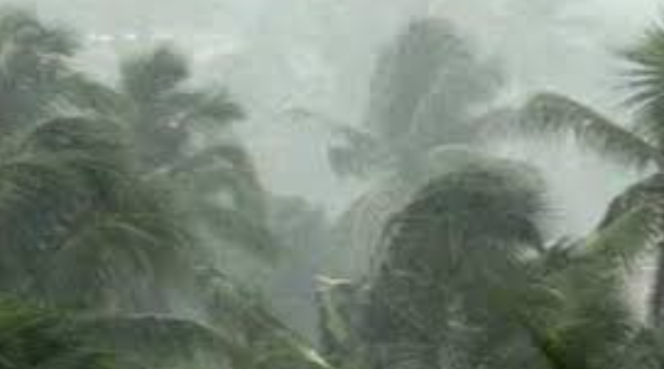 സം​സ്ഥാ​ന​ത്ത് അ​തി​ശ​ക്ത​മാ​യ മ​ഴ മു​ന്ന​റി​യി​പ്പ്
