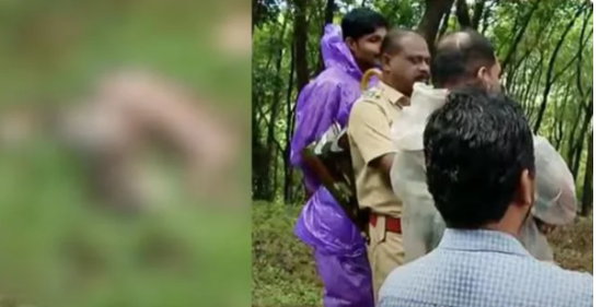 നി​ല​മ്പൂ​ര്‍ പോ​ത്തു​ക​ല്ലി​ല്‍ വ​ള​ര്‍​ത്തു​നാ​യ​യെ പു​ലി പി​ടി​ച്ചു