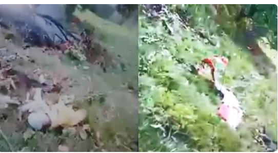 ഉ​ത്ത​രാ​ഖ​ണ്ഡി​ല്‍ ഹെ​ലി​കോ​പ്റ്റ​ര്‍ ത​ക​ര്‍​ന്നു​വീ​ണു; അ​ഞ്ച് മരണം