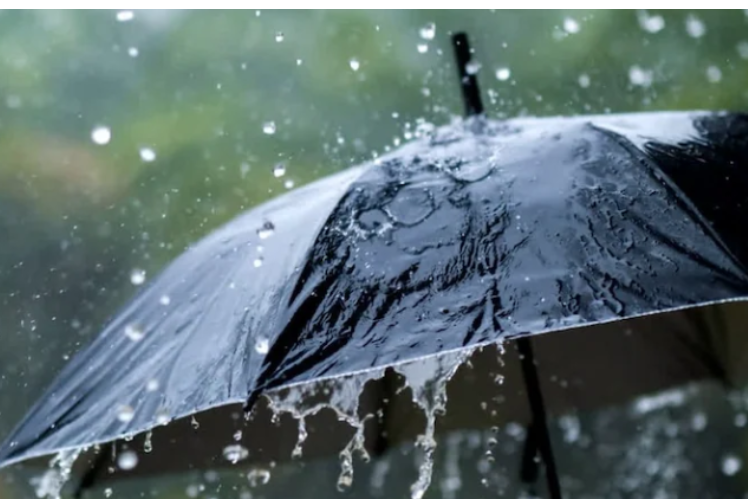 സം​സ്ഥാ​ന​ത്ത് ഇ​ന്നും അ​തി​ശ​ക്ത​മാ​യ മ​ഴ​ക്ക് സാ​ധ്യ​ത