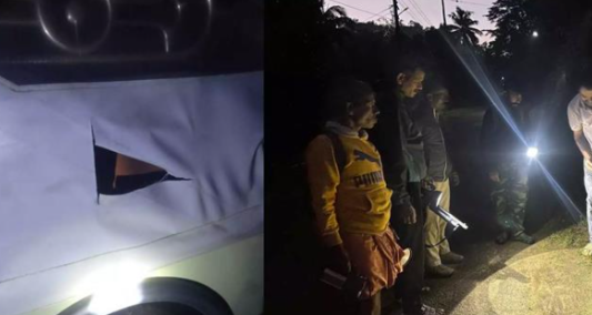 വ​നം​വ​കു​പ്പ് വാ​ഹ​ന​ത്തി​ന് നേ​രെ കാ​ട്ടാ​ന ആ​ക്ര​മ​ണം