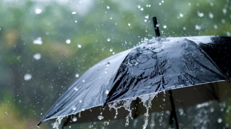 സംസ്ഥാനത്ത് ഇ​ടി​മി​ന്ന​ലോ​ടു കൂ​ടി​യ ശ​ക്ത​മാ​യ മഴയ്ക്ക് സാ​ധ്യ​ത