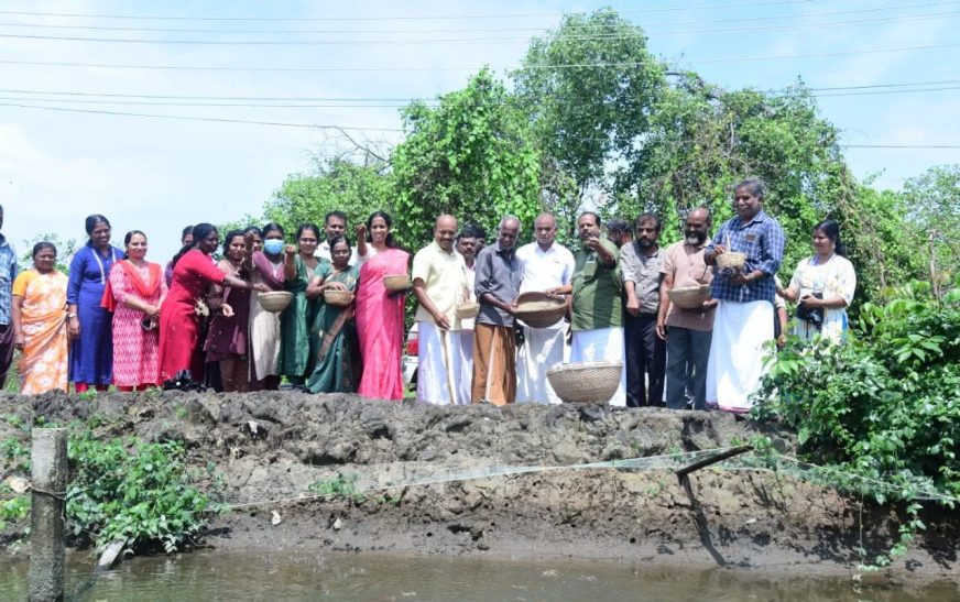 പൊക്കാളി കൃഷിക്കായി ചരിയംതുരുത്തിൽ വിത്ത് വിതച്ചു