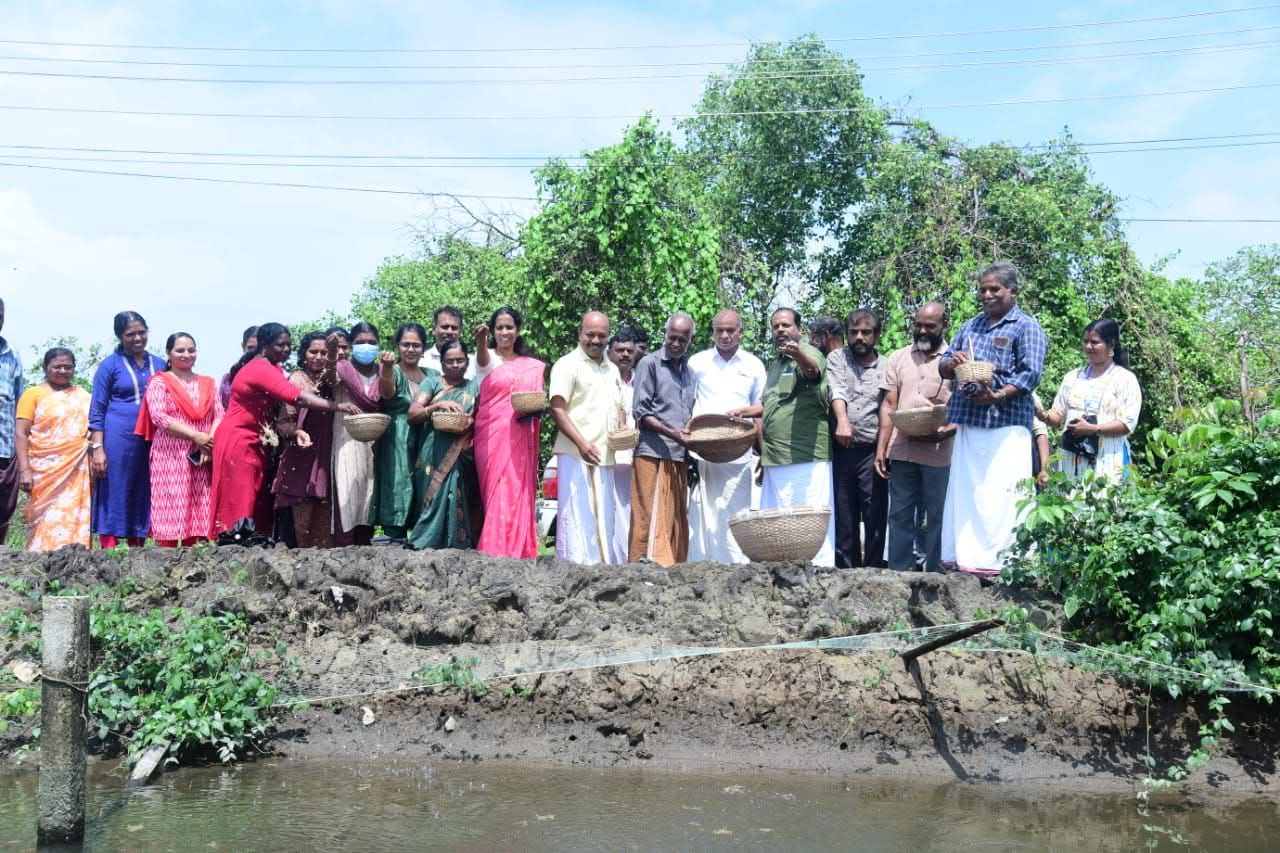 പൊക്കാളി കൃഷിക്കായി ചരിയംതുരുത്തിൽ വിത്ത് വിതച്ചു