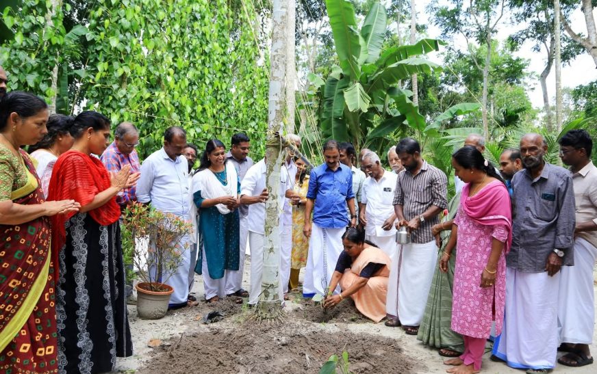 കഞ്ഞിക്കുഴിയില്‍ ഇനി കറുത്തപൊന്നു വിളയും; കുരുമുളക് ഗ്രാമം’ പദ്ധതിക്ക് തുടക്കം