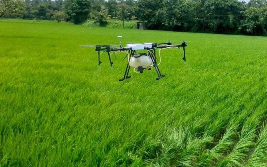 കാർഷിക മേഖലയിൽ 25% വിളനഷ്ടം നേരിടേണ്ടി വരുമെന്ന് റിപ്പോർട്ട്